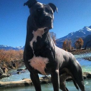 Meet your Posher, Garrett